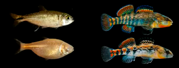 Screen Shot 2023-05-12 at 12.07.33 PM